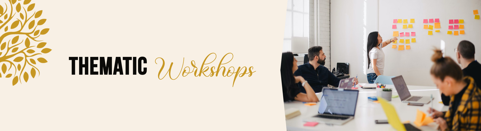 Thematic Workshops